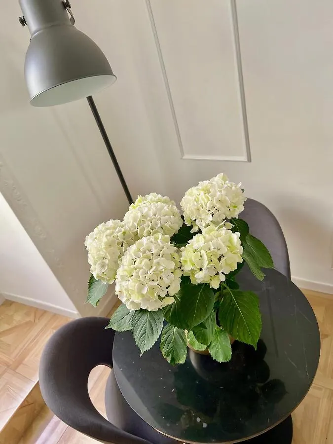 Fiorentine Relais Napoli Appartamento